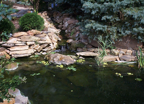 LDI_Aquatic Features05